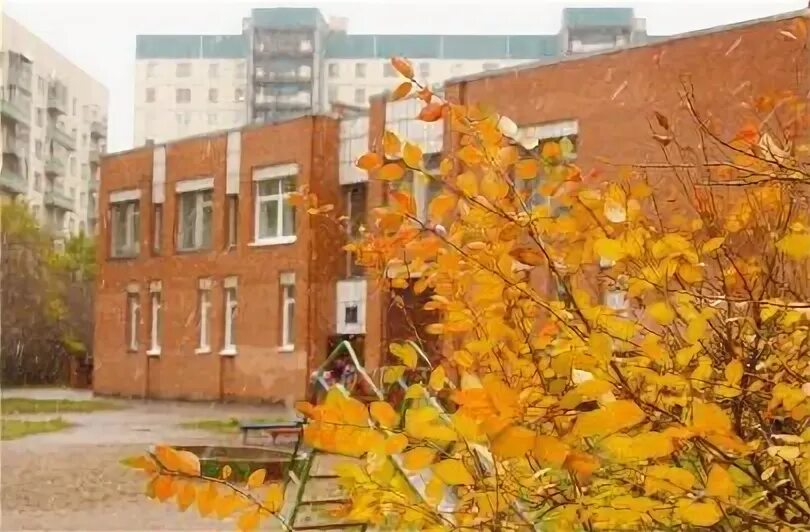 54 сад приморского. 54 сад приморского. 54 сад приморского. 54 сад приморского. 54 сад приморского.
