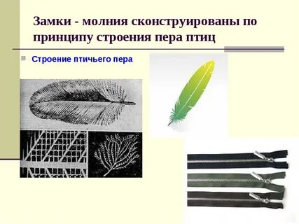 Перо под замок