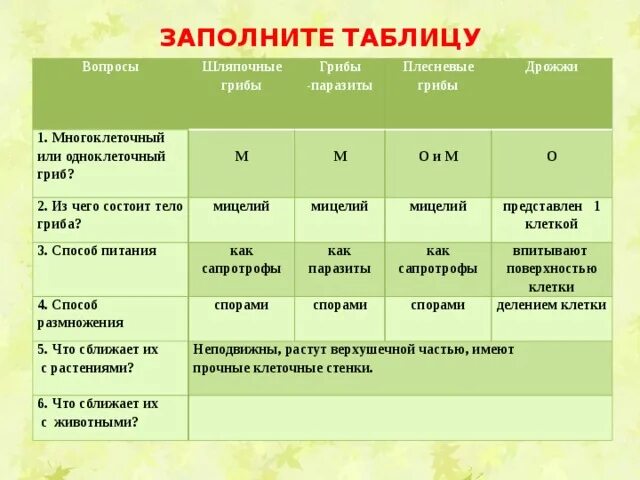 В чем сходство и различие шляпочных грибов. Плесневые и Шляпочные грибы. Таблица грибов. Таблица способы питания плесневых грибов. Заполните таблицу грибы паразиты.