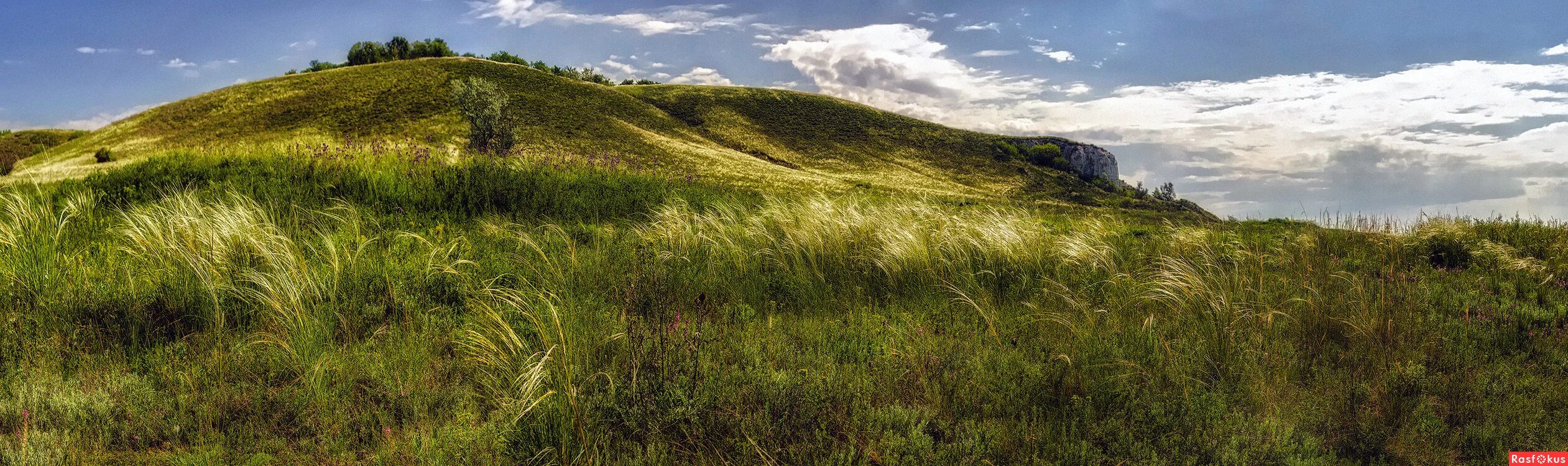 Панорама нова