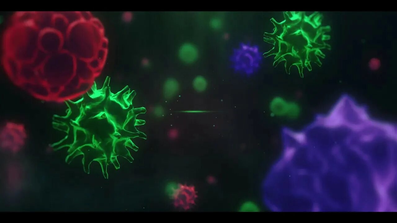 L virus