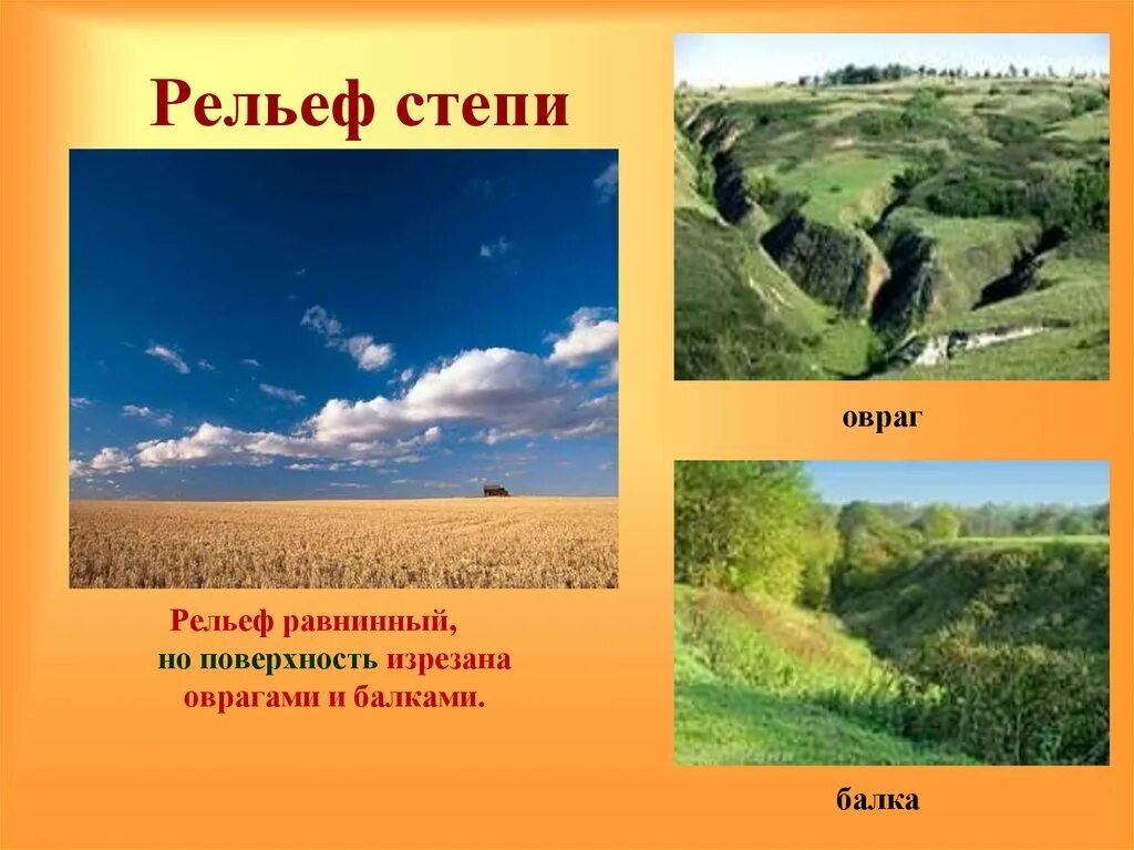 Рельеф степи. Рельеф лесостепи в России. Лесостепи и степи рельеф. Рельеф степи в России. Полезные ископаемые лесостепи