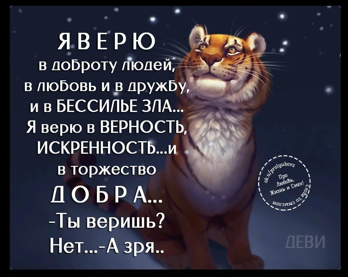 А в жизнь надо верить. Цитаты про доброту. Афоризмы про добро. Я верю в доброту людей. Верю в доброту.