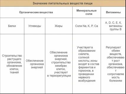 Значение углеводов для организма биология