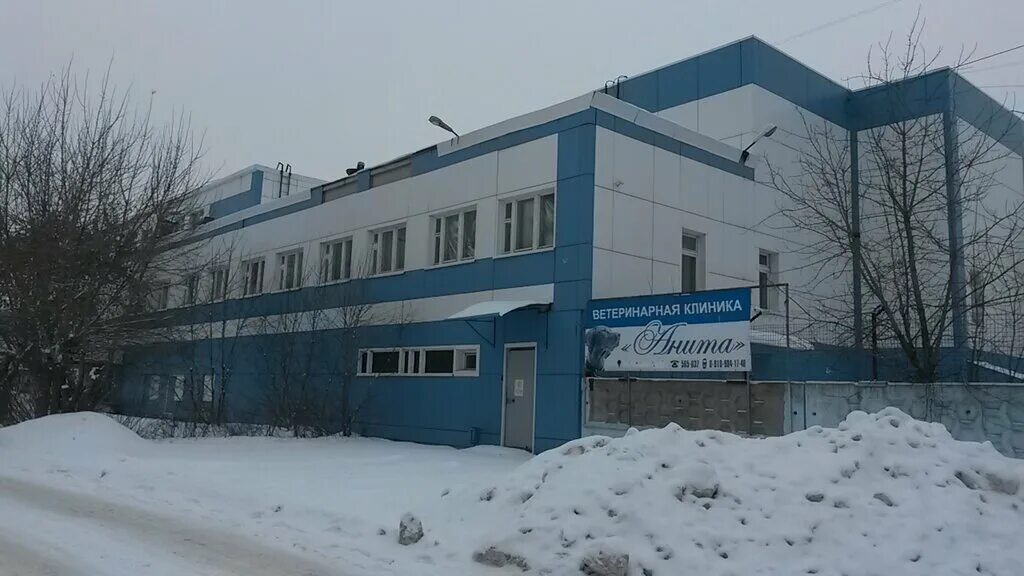 анита ветеринарная клиника иваново. калашникова 28 ветеринарная клиника. ветклиники иваново адреса. ветеринарная клиника на калашникова 28 иваново. ветклиники иваново адреса.