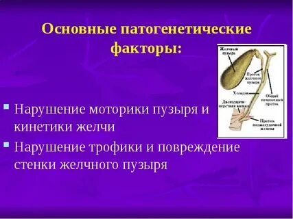 Улучшить моторику желчного пузыря