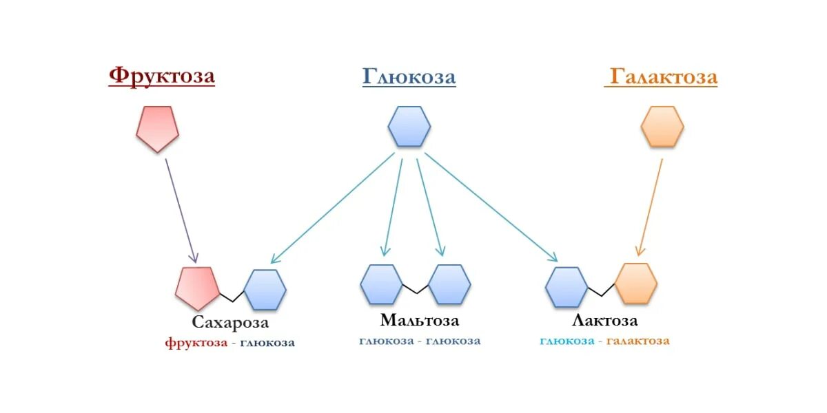 Глюкоза фруктоза сахароза. Глюкоза фруктоза галактоза. Глюкоза фруктоза сахароза формулы. Строение сахарозы Глюкозы и фруктозы.