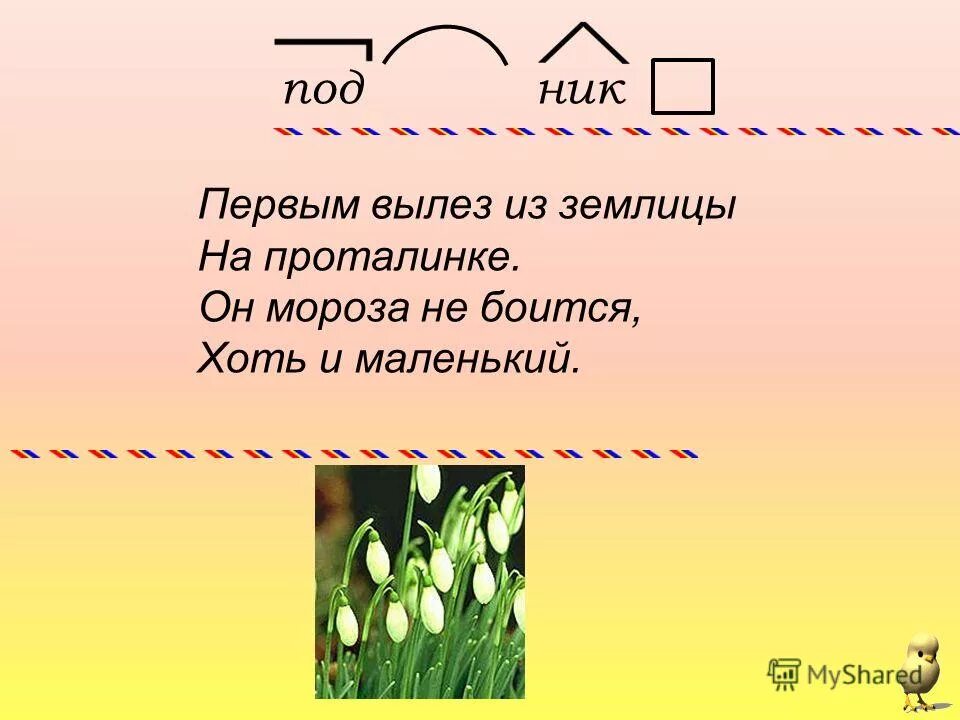 Первым вылез из землицы. Первым вылез из землицы на проталинке. На проталинке Лесной под сосной. Первым вылез из землицы на проталинке он Мороза не боится. 1 Вылез из землицы на проталинке он Мороза не боится хоть и маленький.