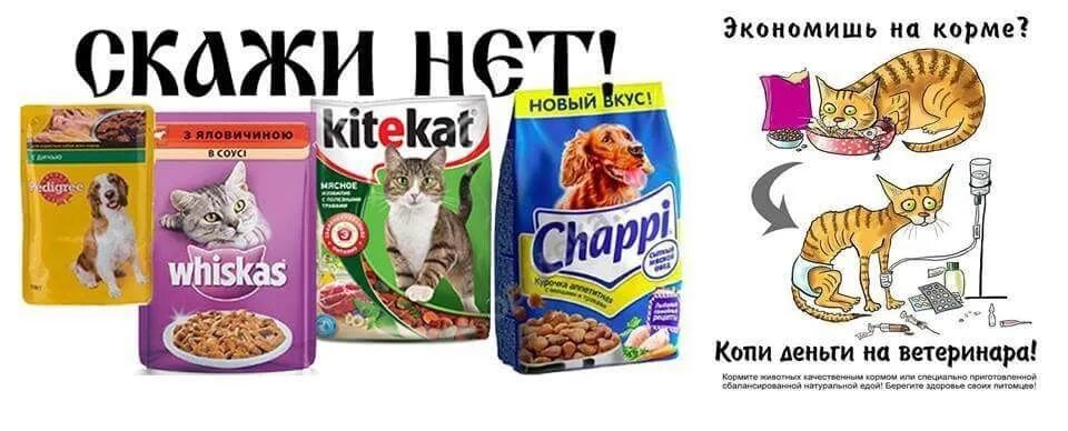 Ваша купила бы вискас. Экономишь на корме копи на ветеринара. ваша киска купила бы вискас. whiskas ваша киска. ваша киска купила бы вискас реклама.