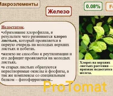 Примеры избытка