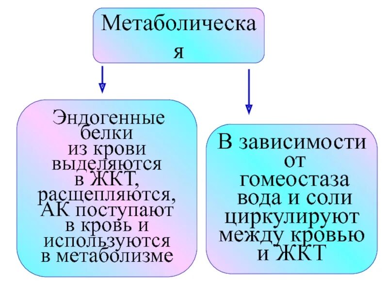 Форум родственников эндогенными. Эндогенные белки. Эндогенные (зависимые). Эндогенные пигменты виды. Эндогенные пирогены общий белок в крови.