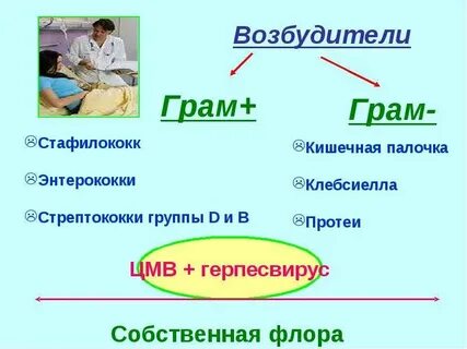 Грам или грамов