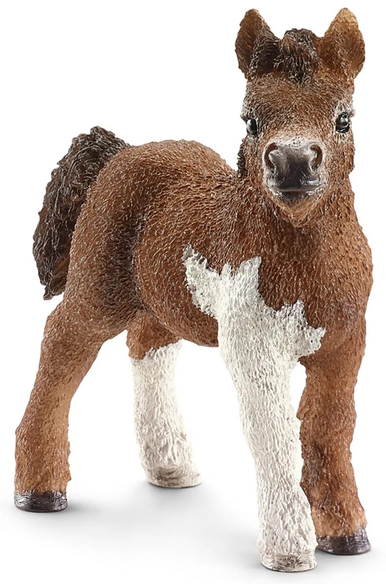 Пони шляйх. Schleich 13752. шетлендский пони шляйх. schleich шотландский пони. schleich пони шетланд.