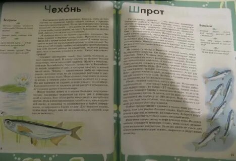 Рыбная азбука