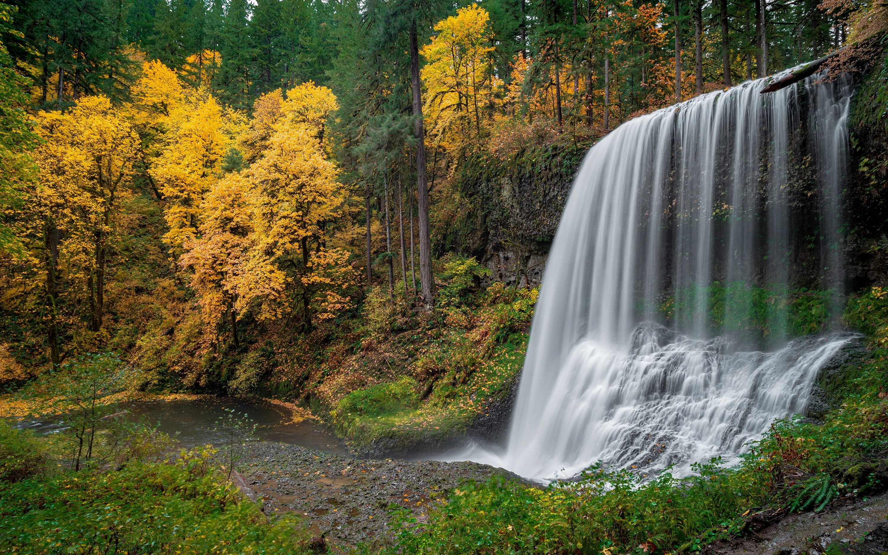 Silver Falls State Park Oregon. Венсенский лес водопад. Парк водопадов осенью. Водопад осень парк. Fall state