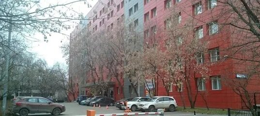 Геотрест
