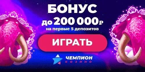 Магазин чемпион логотип. Чемпион красноярск магазин. Магазин чемпион. 100% bonus. Чемпион бонусы.