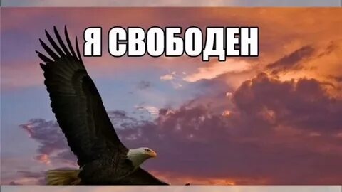Я свободен словно птица в небесах слушать