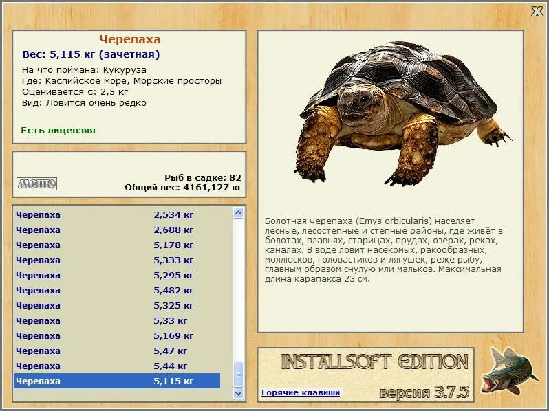 русская рыбалка 3 7 6 черепаха трофей. черепаха деревенские просторы. 1 деревенские просторы черепаха. черепаха рыболов. 1 деревенские просторы.