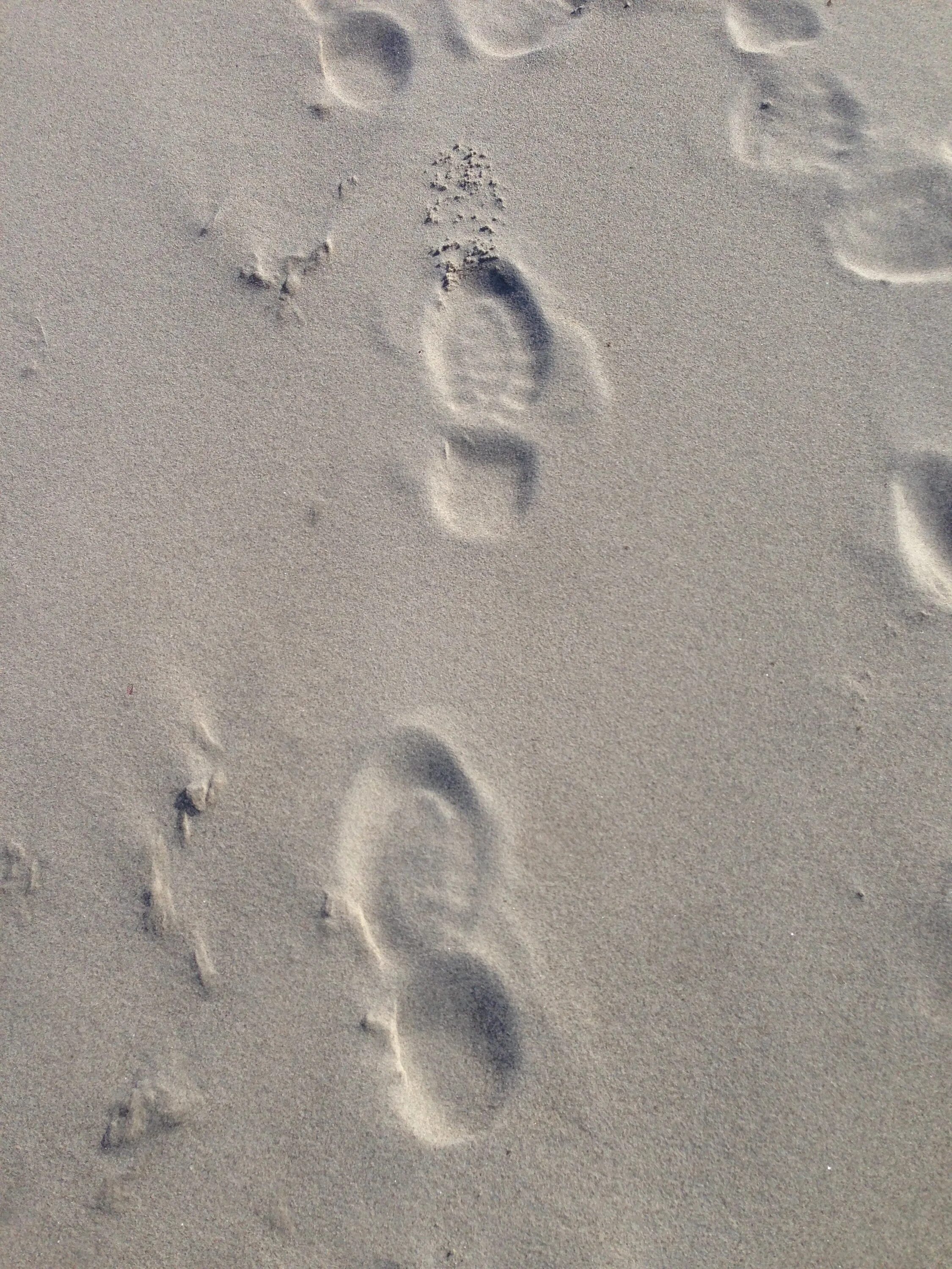 Дорожка следов сколько следов. Дорожка следов. Дорожка следов на снегу. Следы обуви на песке. Фотографирование следов.