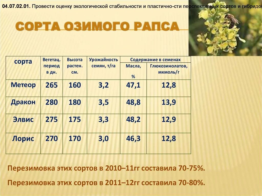 Урожайность п. Озимый рапс вынос элементов питания. Норма высева ярового рапса на 1. Норма высева озимого рапса. Урожайность озимого рапса.