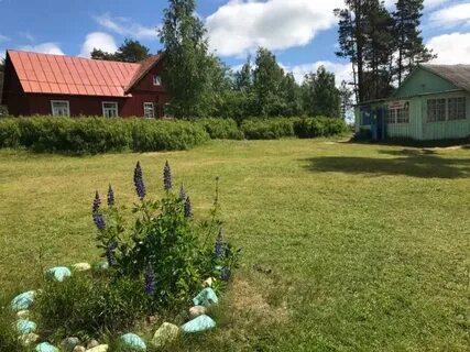Спутник ленинградская область