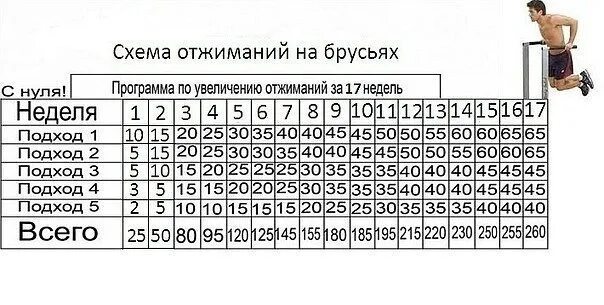 Брусья сколько раз. Схема отжиманий на брусьях. схема отжиманий на брусьях с нуля. брусья таблица подходов. таблица отжиманий на брусьях.