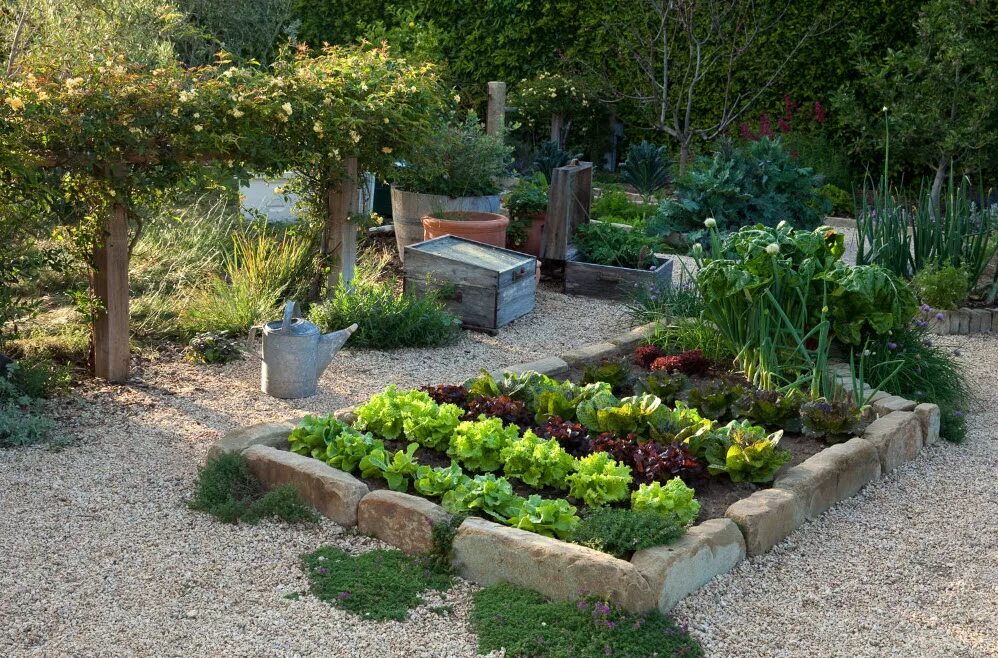 бюджетные сады. огородный миксбордер. ландшафт на даче. бюджетные сады. декоративный город.