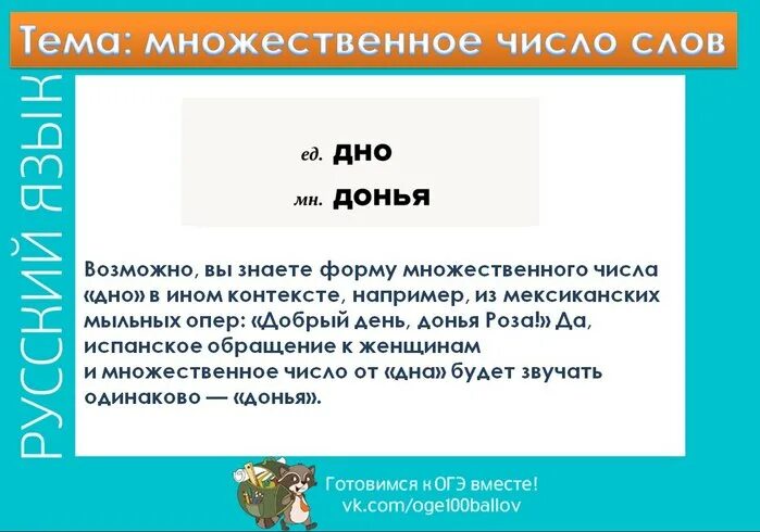 Слово дно во множественном