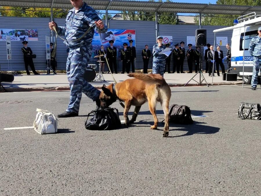 Пятница эфир барнаул. День города Барнаул 2022 МАЛОТОБОЛЬСКАЯ. День города Барнаул 2022 фото. Построение сотрудников полиции на день города Барнаула.