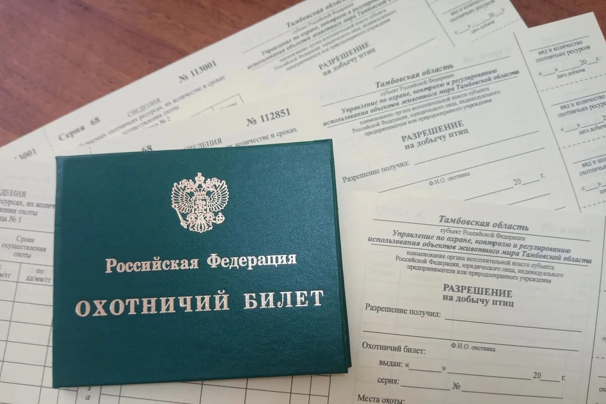Выдать разрешение на добычу охотничьих. Охотбилет печать 3. охотбилет с печатью на безлицензионную добычу.