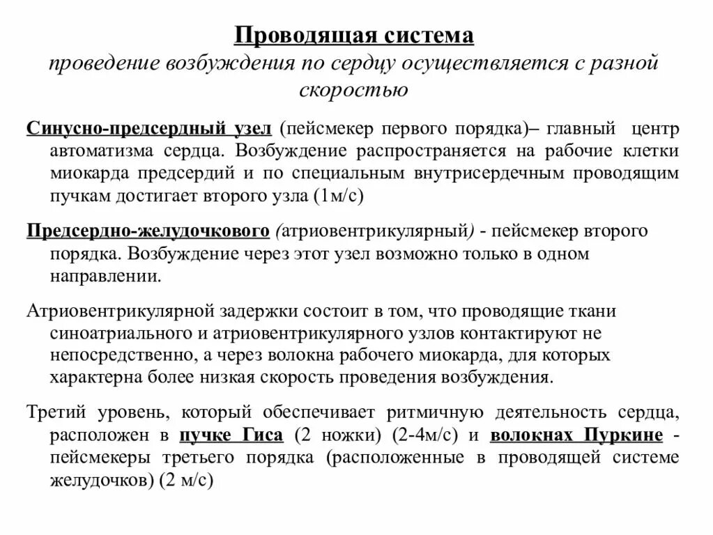 Возникновение и проведение возбуждения в сердце физиология. Последовательность распространения возбуждения по сердечной мышце. Последовательность возбуждения в проводящей системе сердца. Проведение возбуждения в сердце. Скорость проведения возбуждения по структурам сердца м/с.