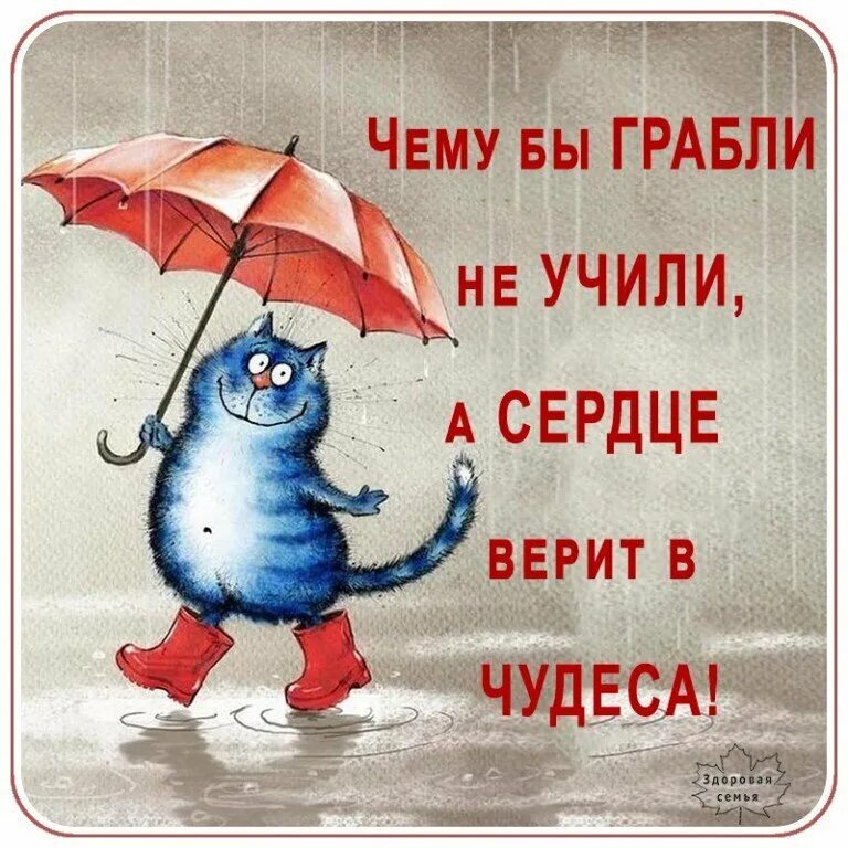 Веселее лучше проще. Надо верить в чудеса. Смешные фразы про чудо. Верю в чудеса картинки. Верьте в чудеса цитаты.