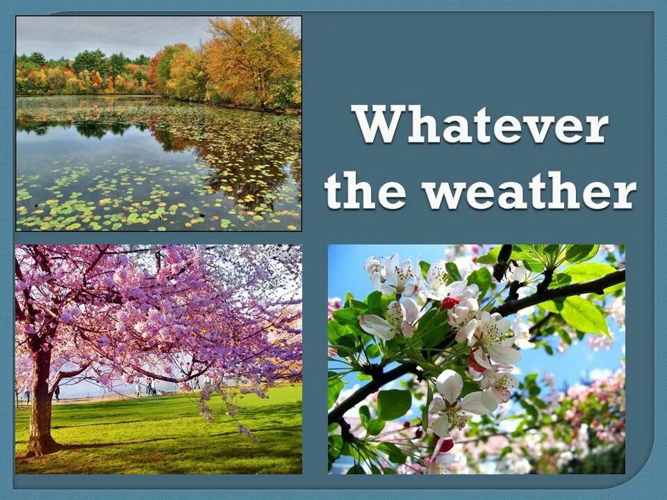 Whenever the weather is. Weather скороговорка. whatever the weather. whatever the weather скороговорка. we&#039;ll weather the weather whatever the weather.