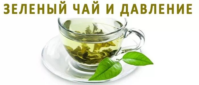 Чай поднимает. Зеленый чай понижает давление. Зеленый чай от давления. Зелёный чай повышает или понижает давление. Зелёный чай от давления высокого.