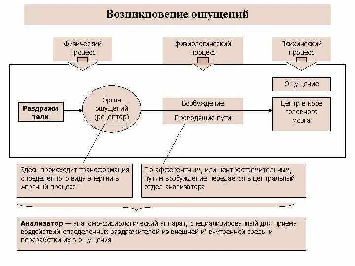 Типы процессов ощущения. Типы процессов ощущения