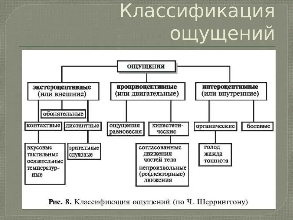 Ощущения страны. Виды ощущений классификация по Шеррингтону. Классификация ощущений в психологии таблица. Ощущения классификация ощущений психология. Классификация видов ощущения по анализатору.