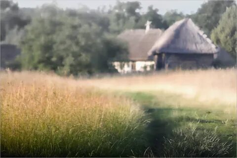 На приволь зеленых лех