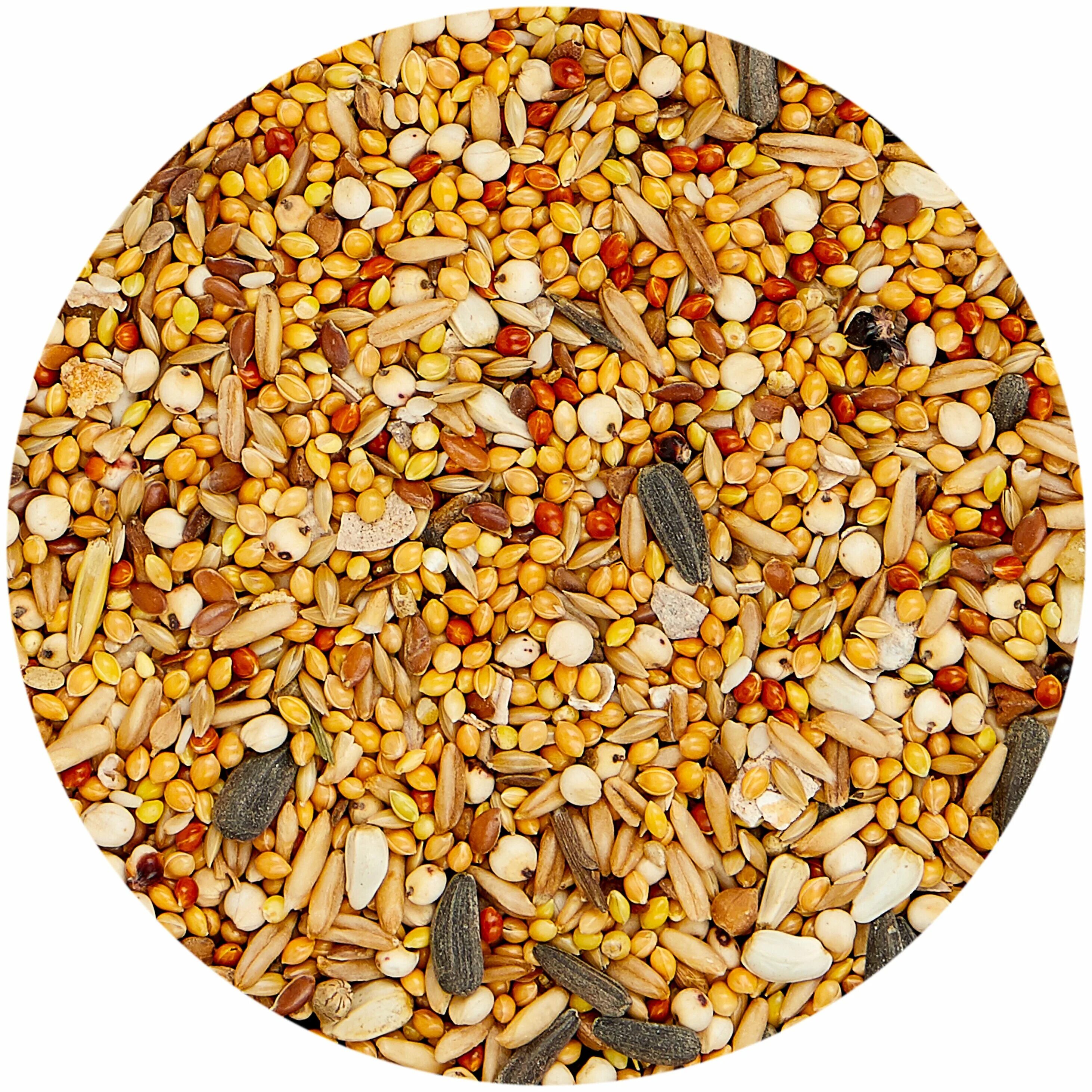 Чумиза для волнистых попугаев. Любимчик 500г витамин д/волнистых попугаев. Корм рио для волнистых попугаев. Рио сухой корм для средних попугаев 500 гр. Корм для мелких попугаев "робинзон" 635.