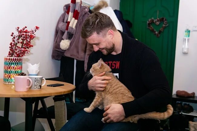 Котокафе котовский пермь. Котокафе котовский. котокафе пермь. котокафе пермь луначарского. котокафе мурчелло муром.