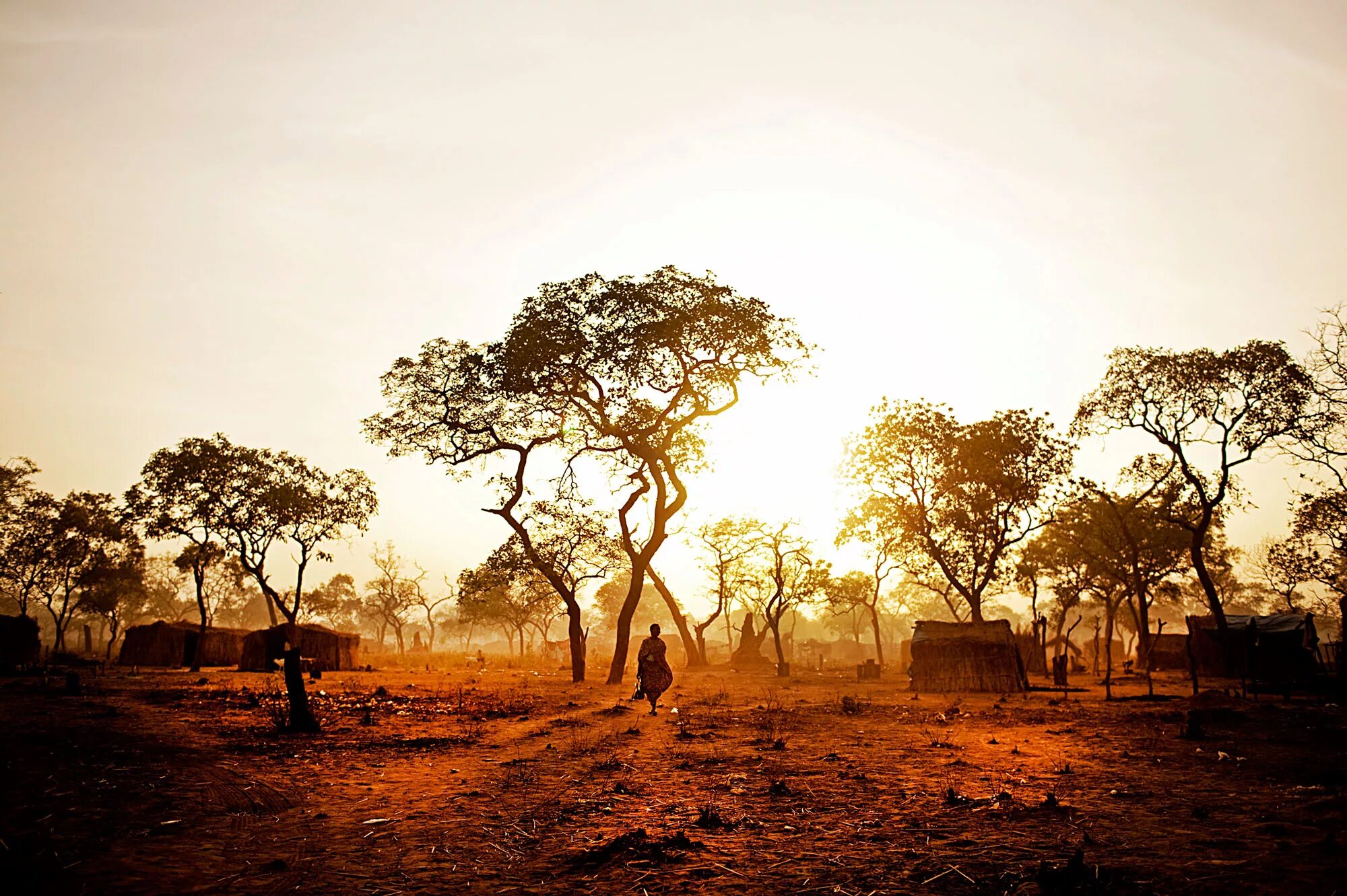 Африка влияние на природу. Саванновый Судан. Восточно-Африканский Саванна Львов. Климат Южного Судана. Южный Судан природа.