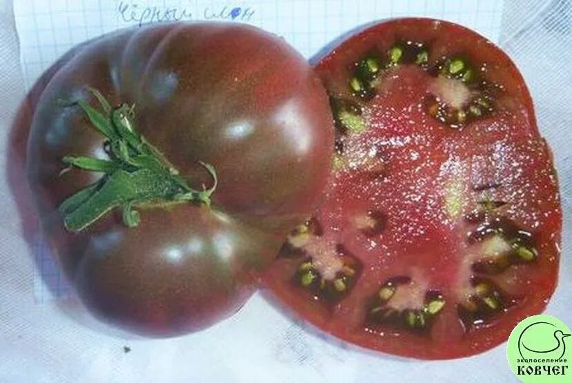 томат черный черри наш сад. семена томатов черри черные. черные помидоры семена. томат кумато семена. помидоры черри черные.