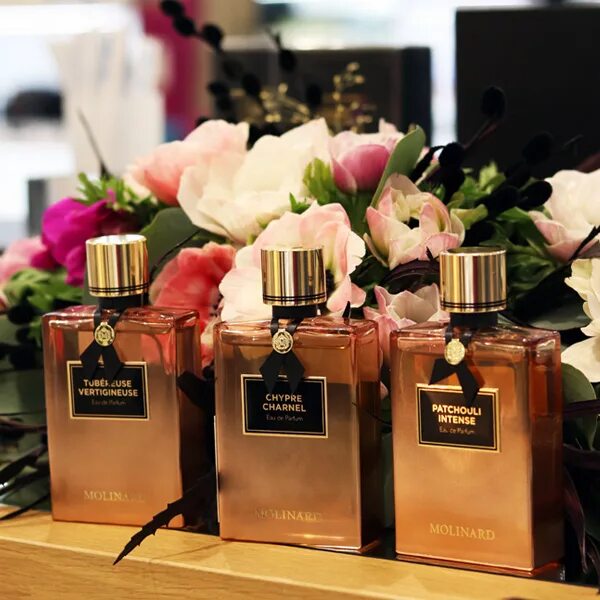 Patchouli intense. Молинард пачули. molinard patchouli intense. molinard chypre charnel. нишевая парфюмерия рив гош.