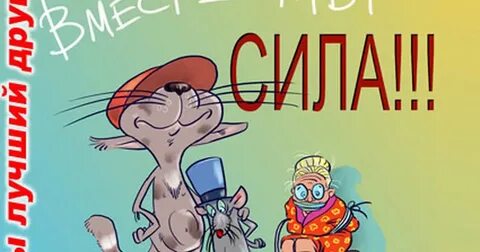 Вместе смешные картинки