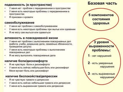 Подвижность активность