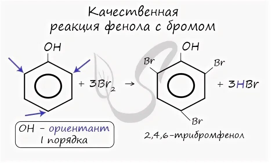 Фенол и бромная 1 вода реакция. Фенол с бромной водой реакция. Фенол и бромная вода. Получение фенола из кумола реакция. Фенол 2 4 6 трибромфенол реакция.