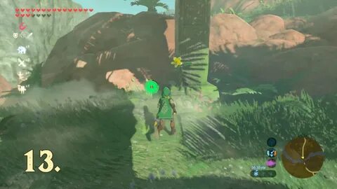 Лес корок zelda