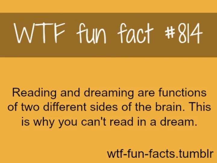 But in fact it is. Fun facts. funny facts. funny wtf.
