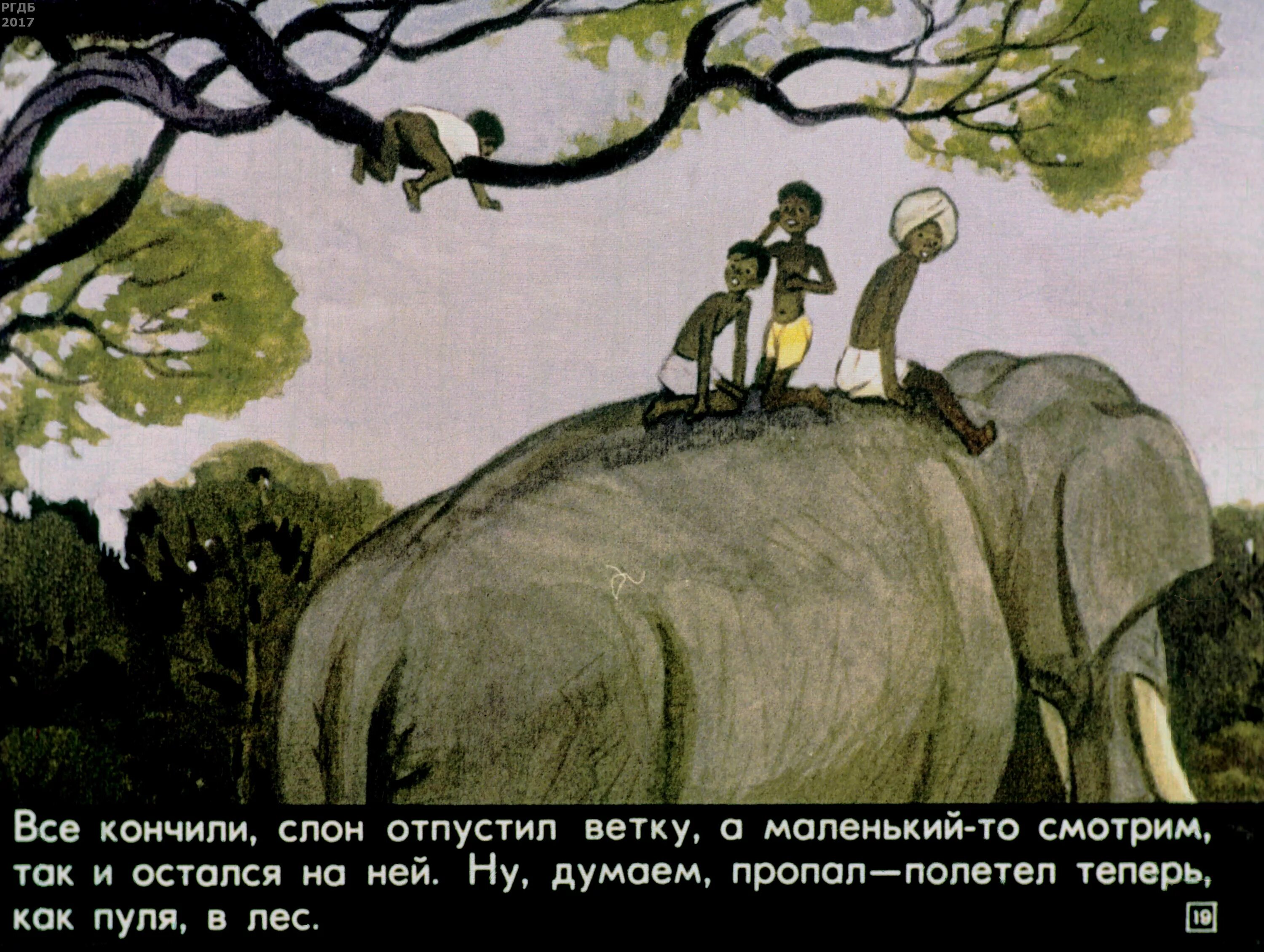 Житкова про слона. Иллюстрации к рассказу Житкова про слона. Житков про слона иллюстрации. Читать про слона