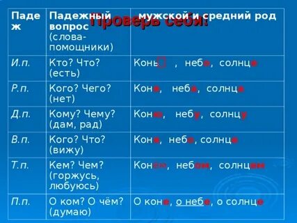 Он род склонение число падеж